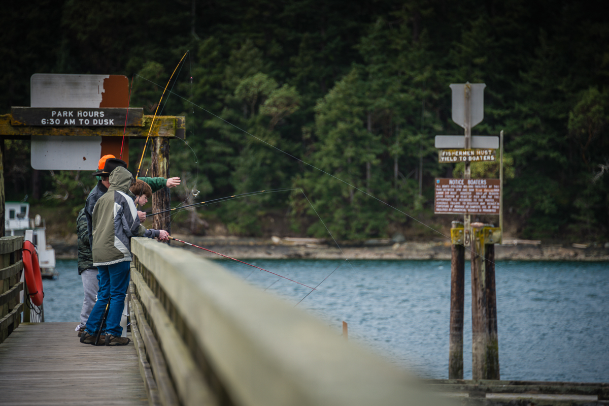 Tulip Festival & Deception Pass