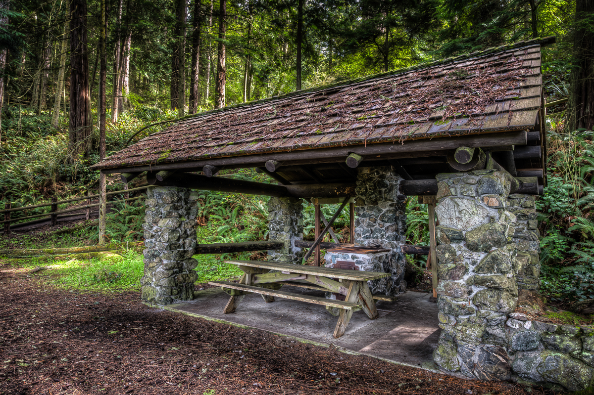 Tulip Festival & Deception Pass